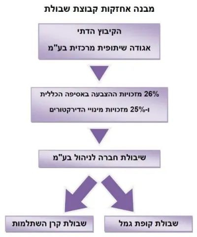 מבנה אחזקות
